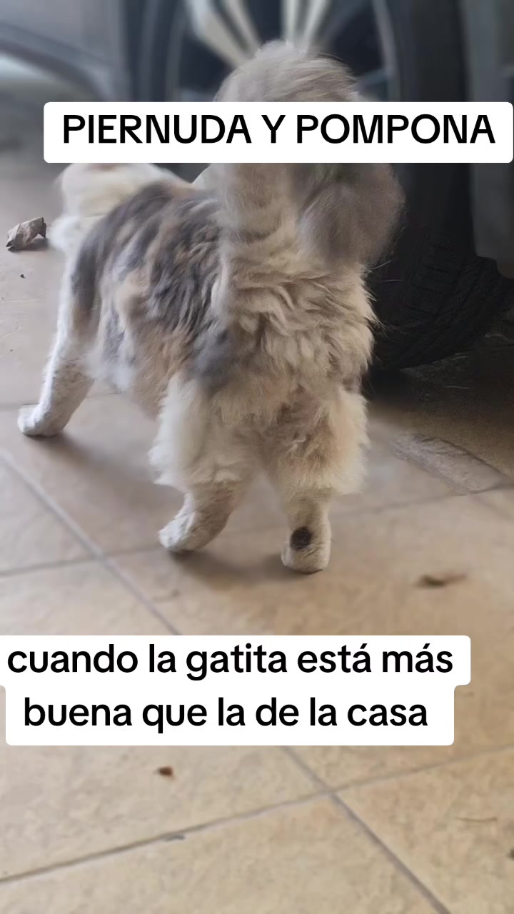 @Andreina