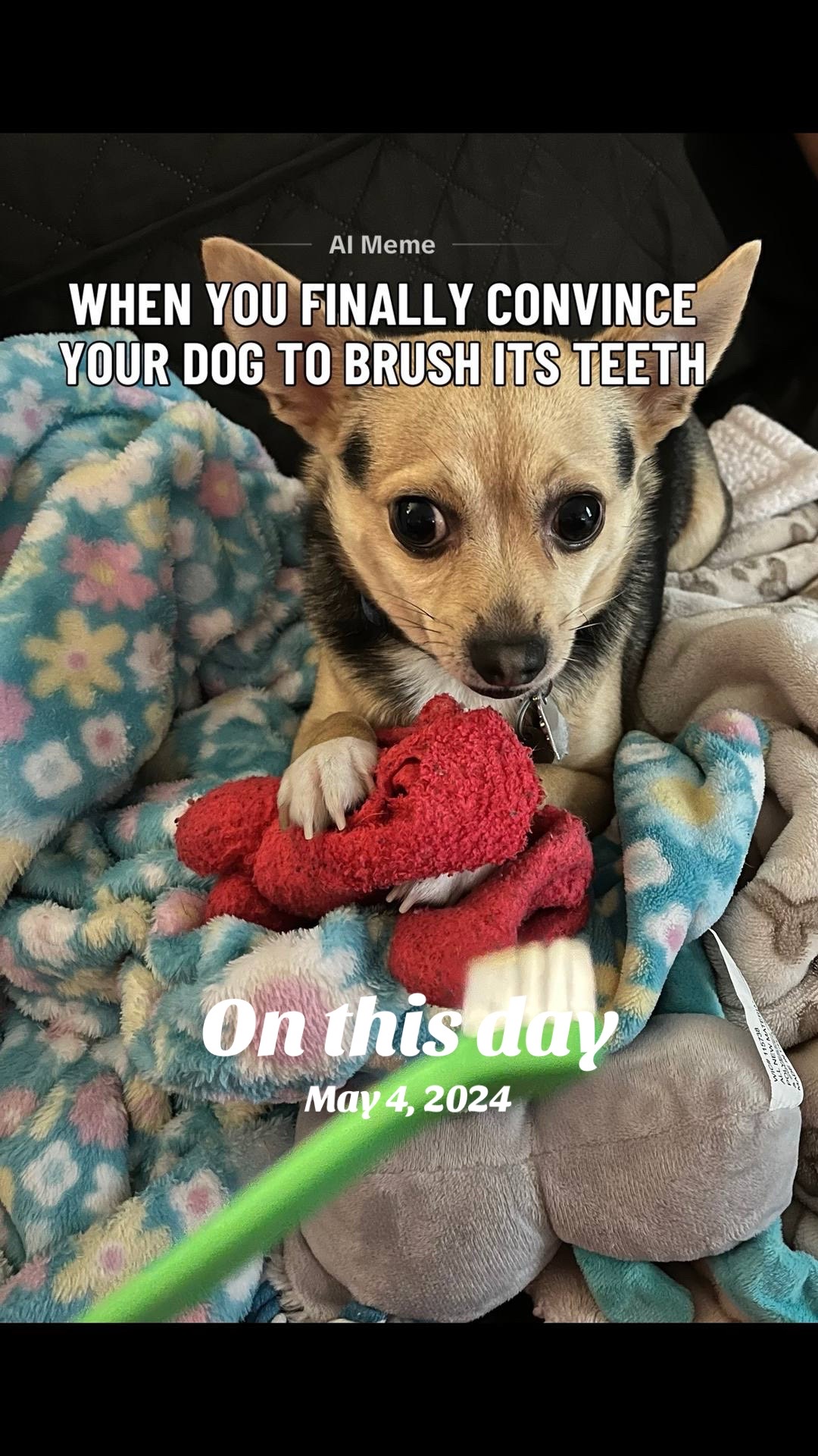 @Whiskeyandtennessee