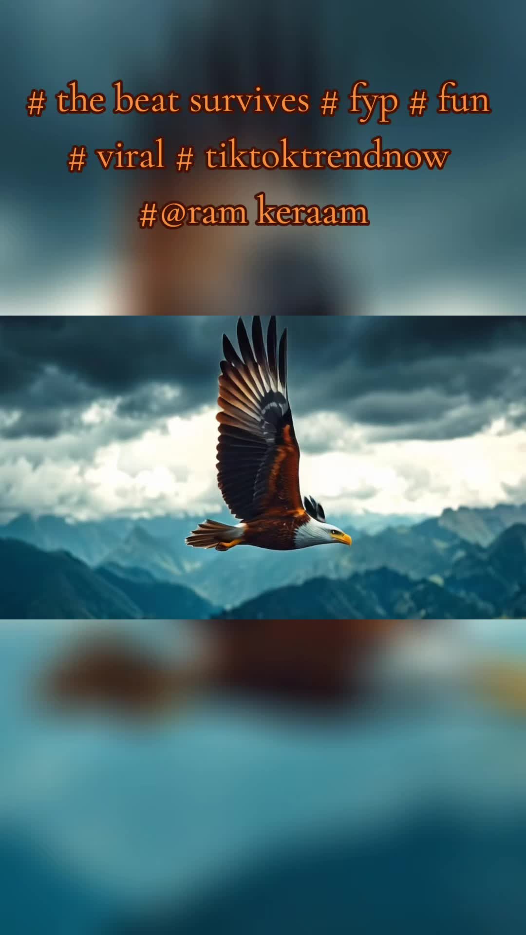 @🕉🔱♾️RAM🙏KERAAM 👑🇳🇱🇸🇷❌️