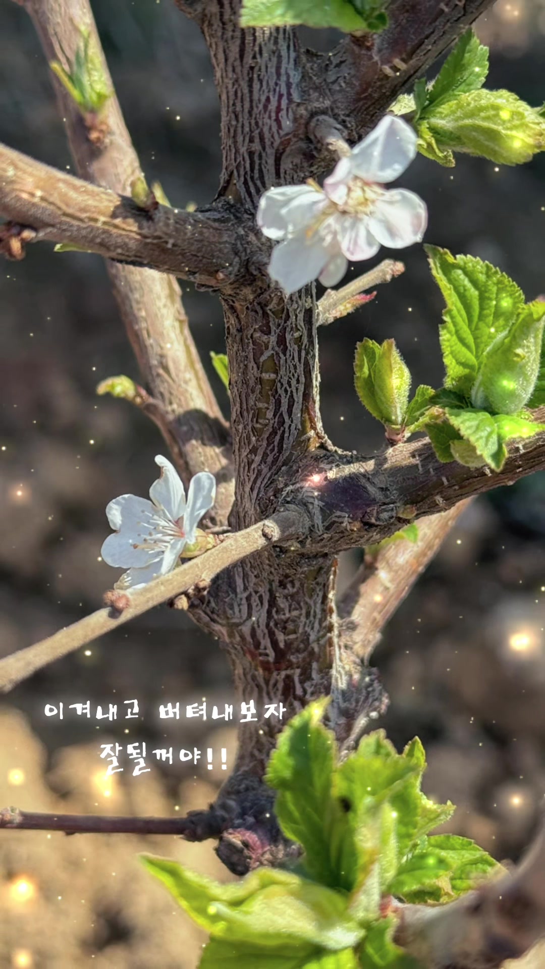 @꿀보Oi스