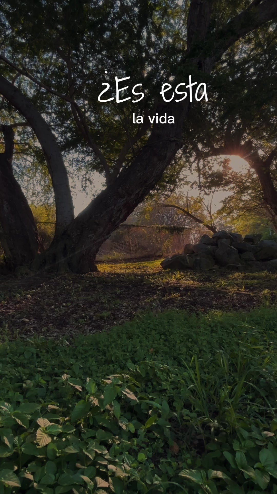 @Manuel 🇲🇽