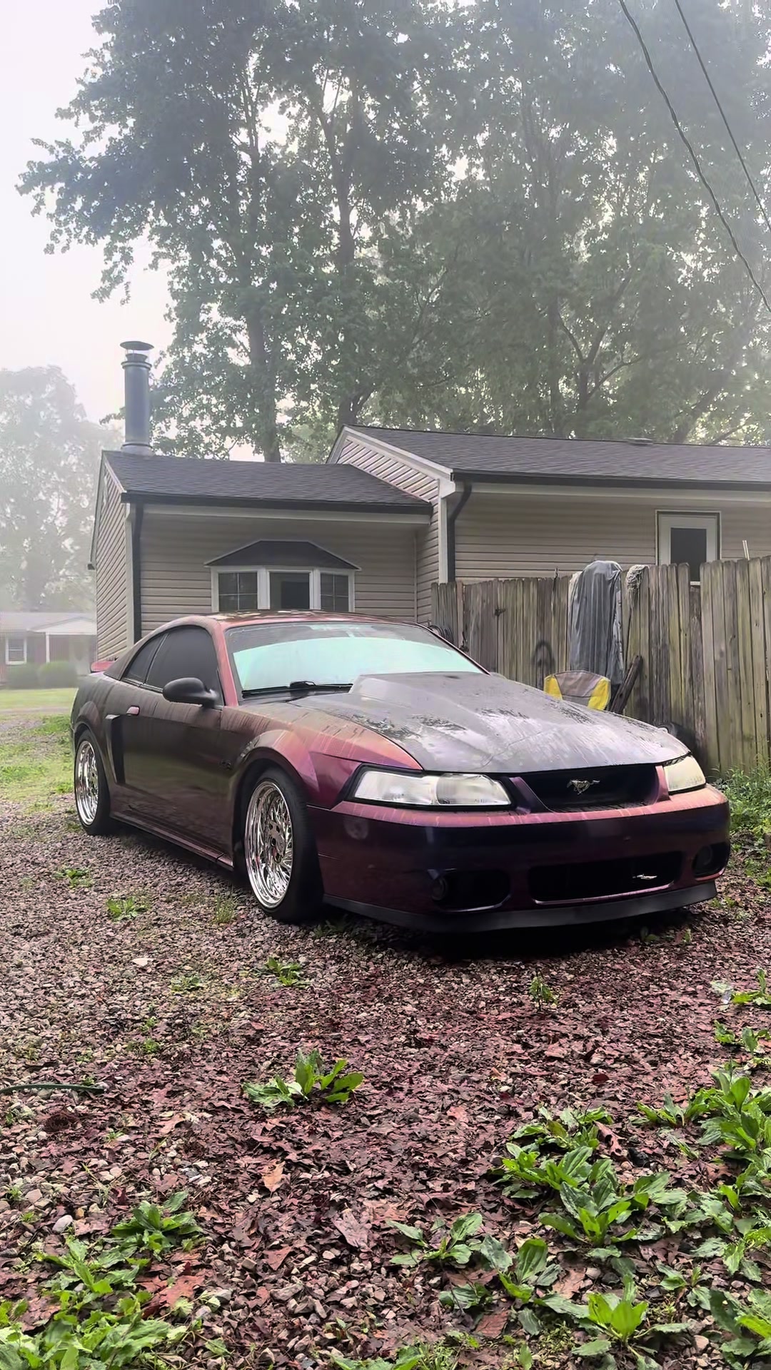 @Midnightpurp2v