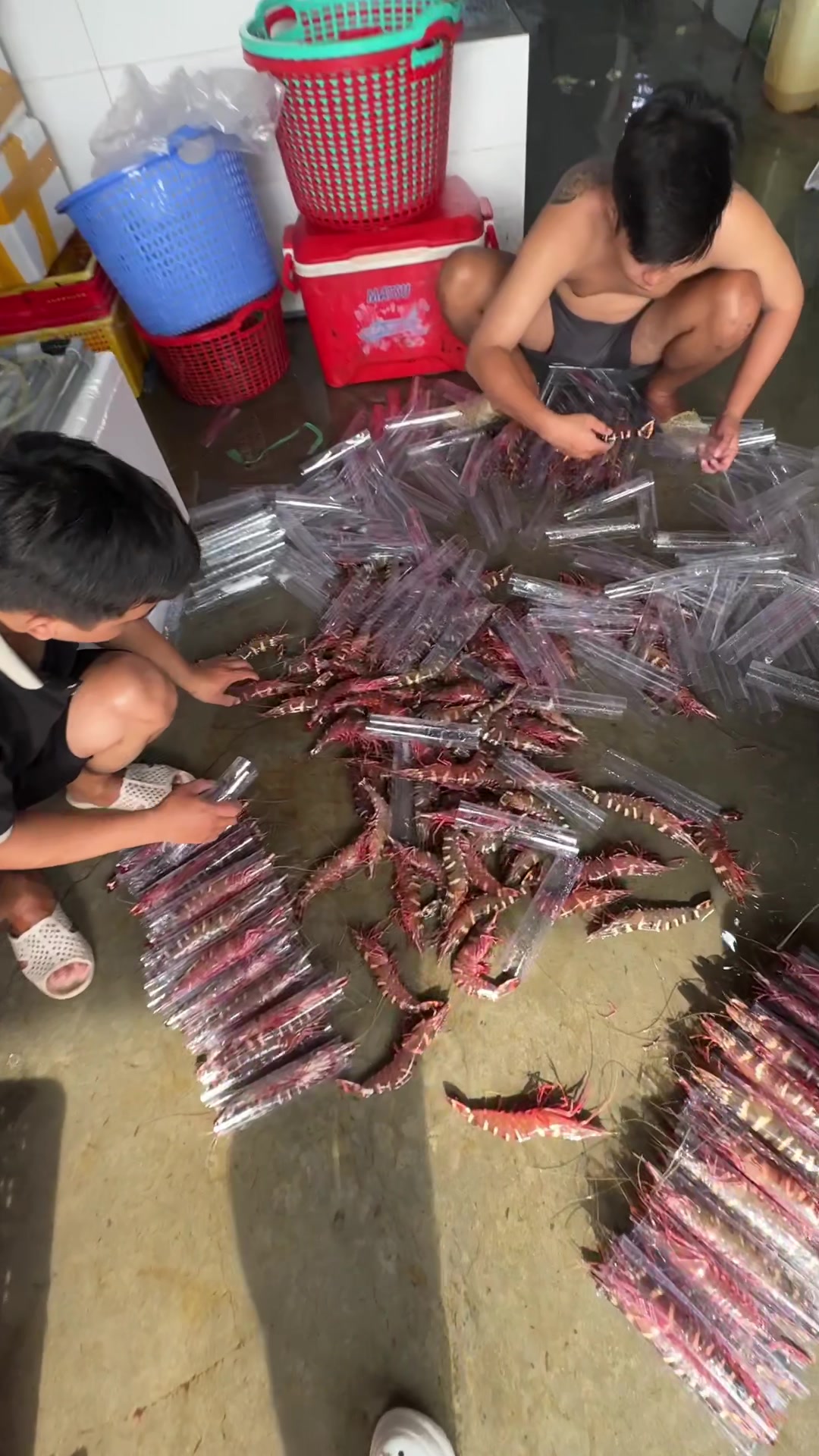 @Huệ t&ocirc;m s&uacute; biển