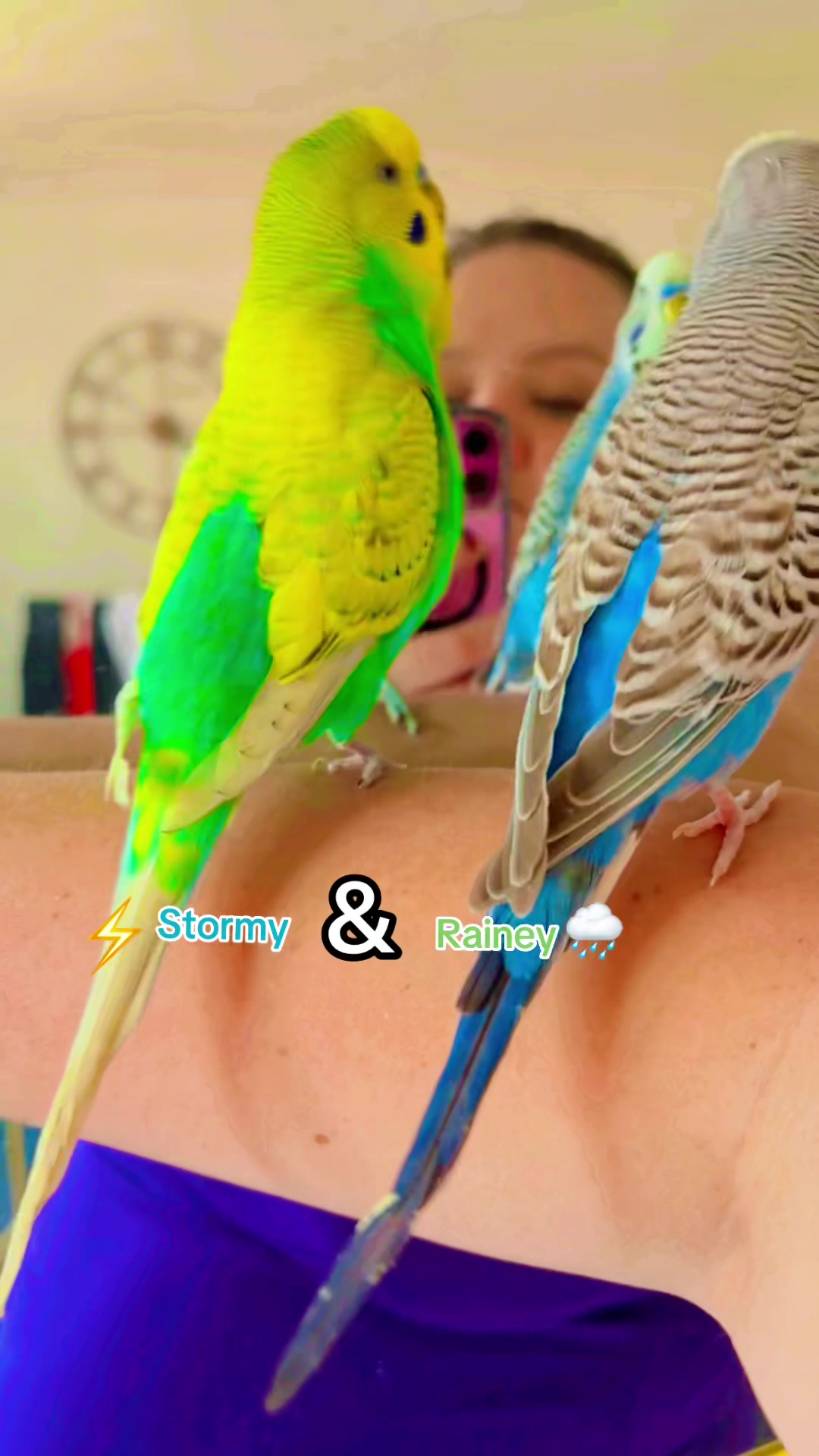 @Gem &hearts;️🦜