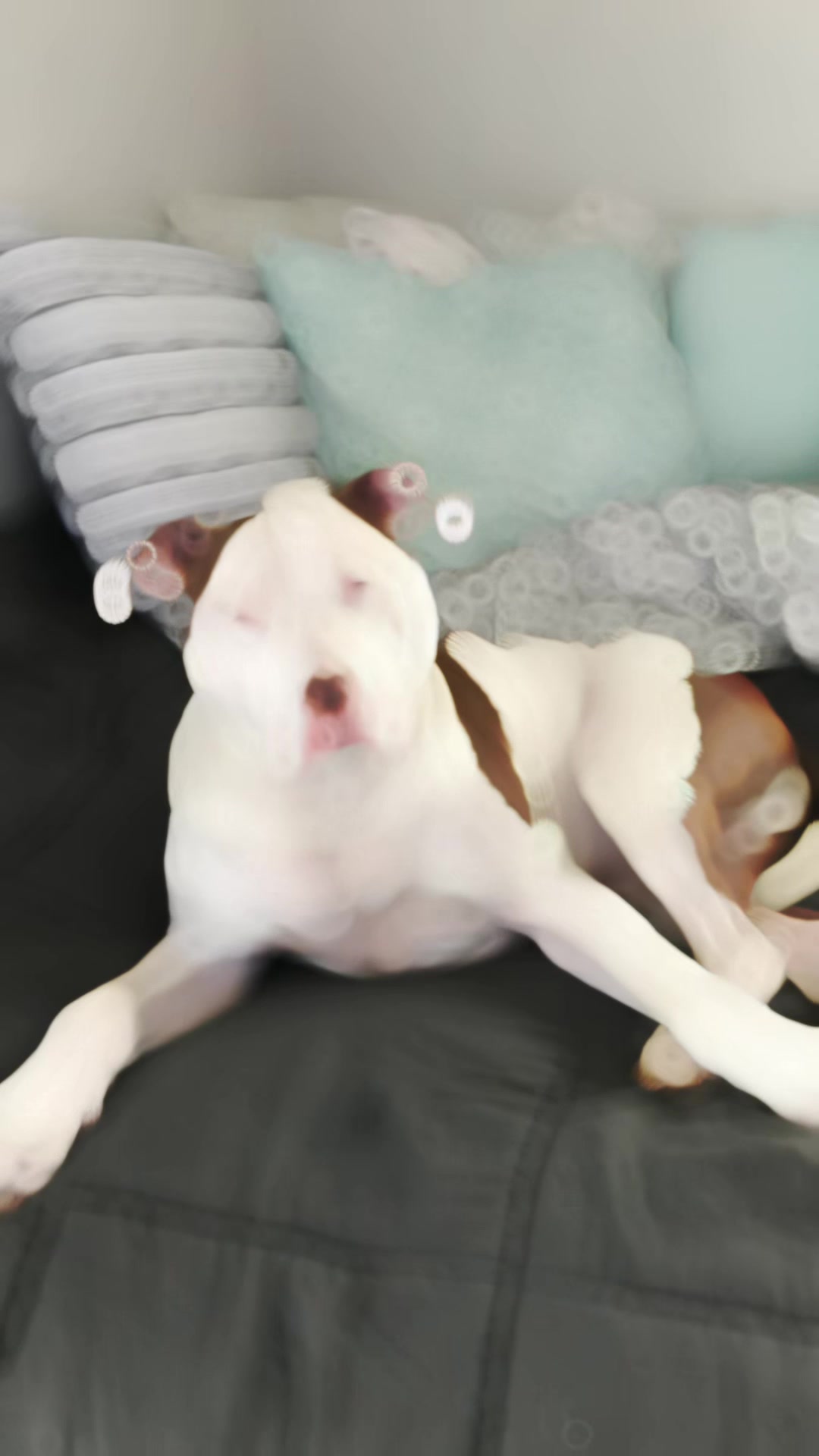 @Alanna