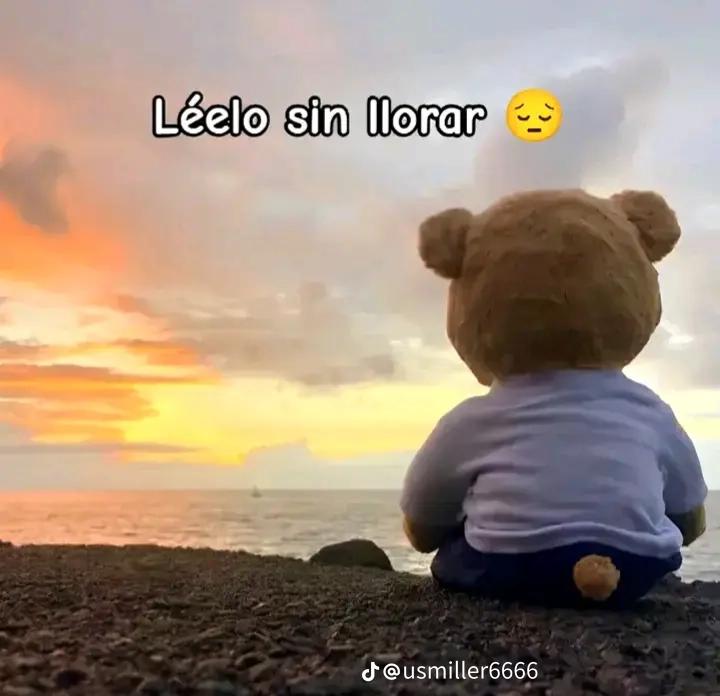 @Nayara Tremps