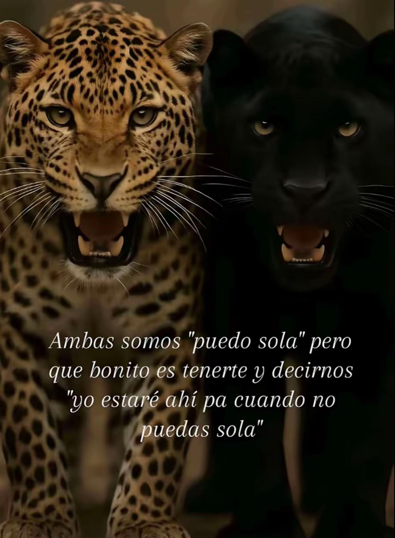 @Mam&aacute; de Mart&iacute;n 🫶🏼🧸