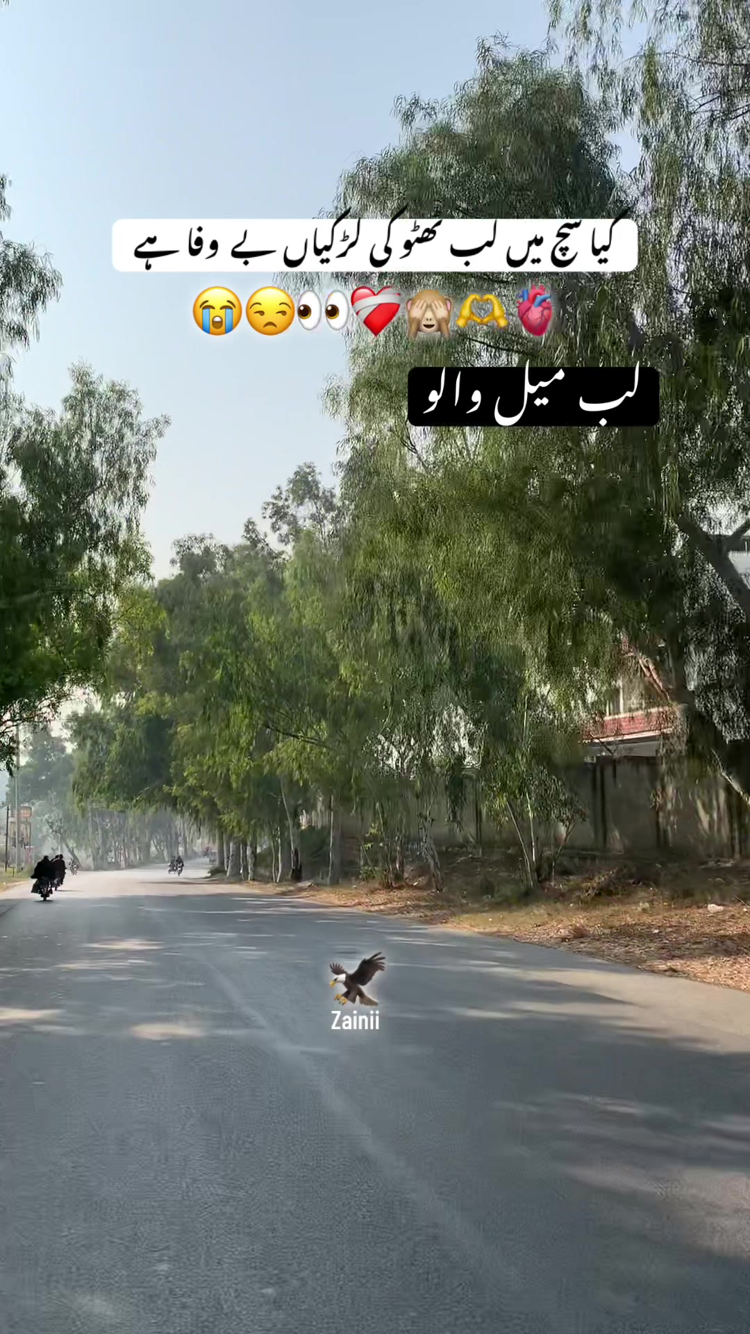 @جانی❣️z
