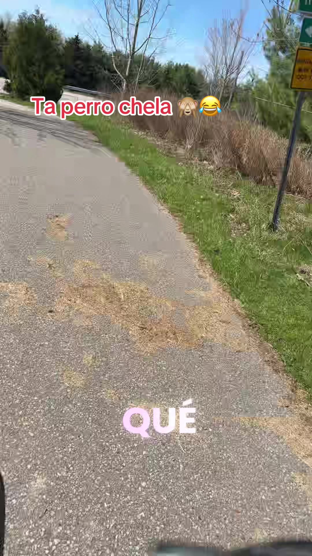@Rom&aacute;ntico504🇭🇳🇨🇦🎸✋️&spades;️