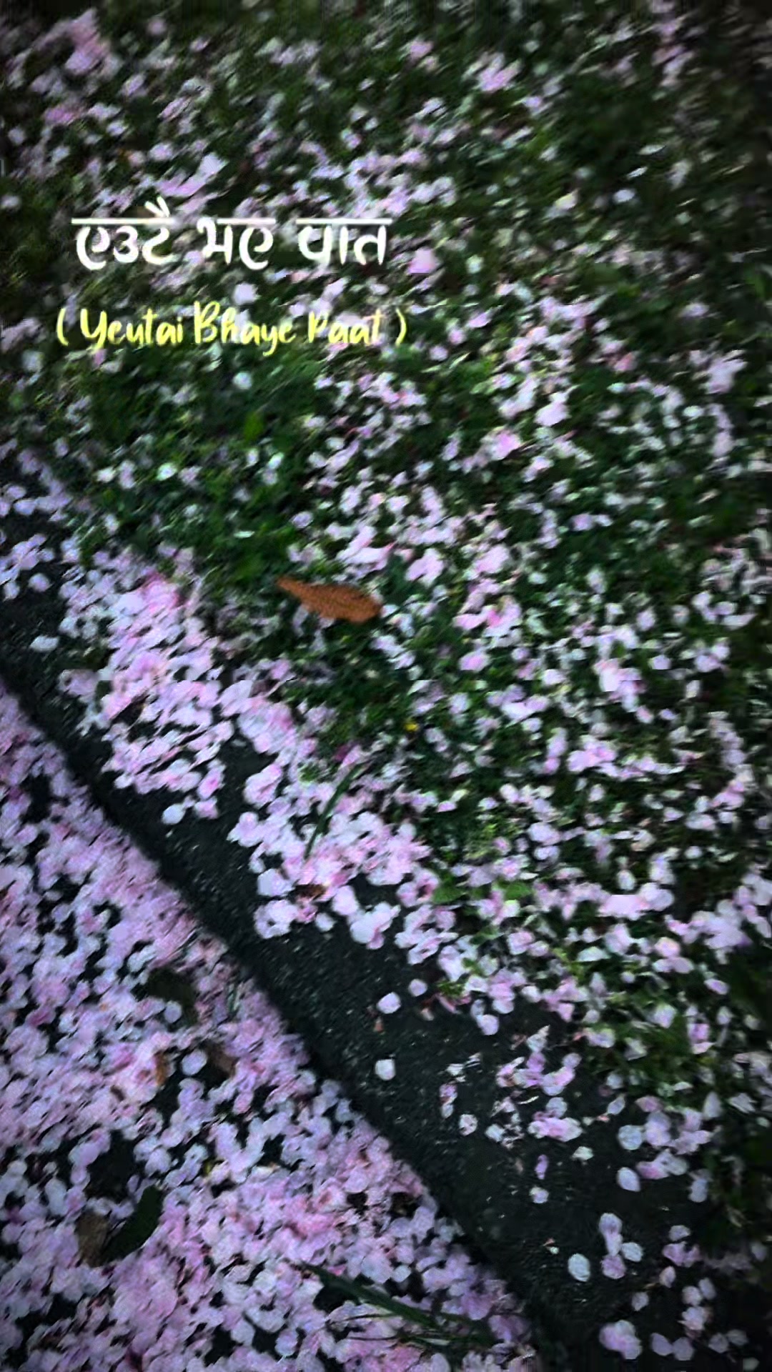@𝕶𝖗𝖎𝖙𝖎 𝕾𝖆𝖓𝖌𝖎𝖙𝖆 👑