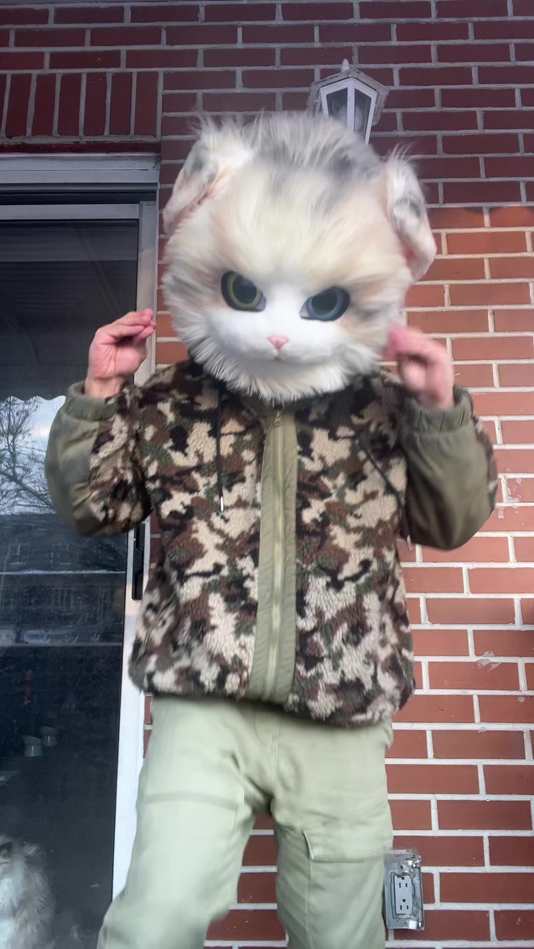 @The CaT 😼