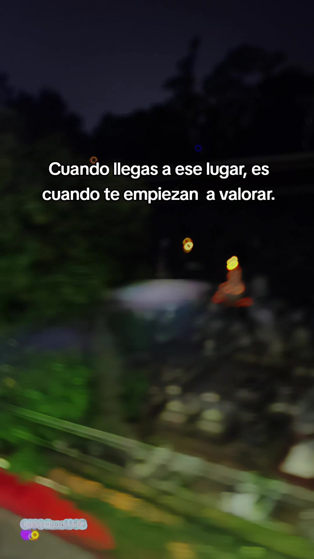 @Jaqui Silva