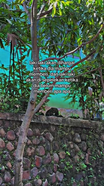 @Alfarisi