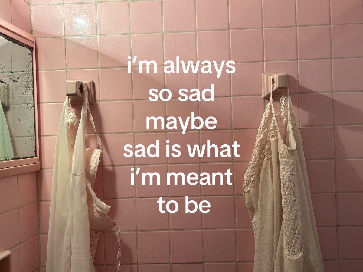 @🪽