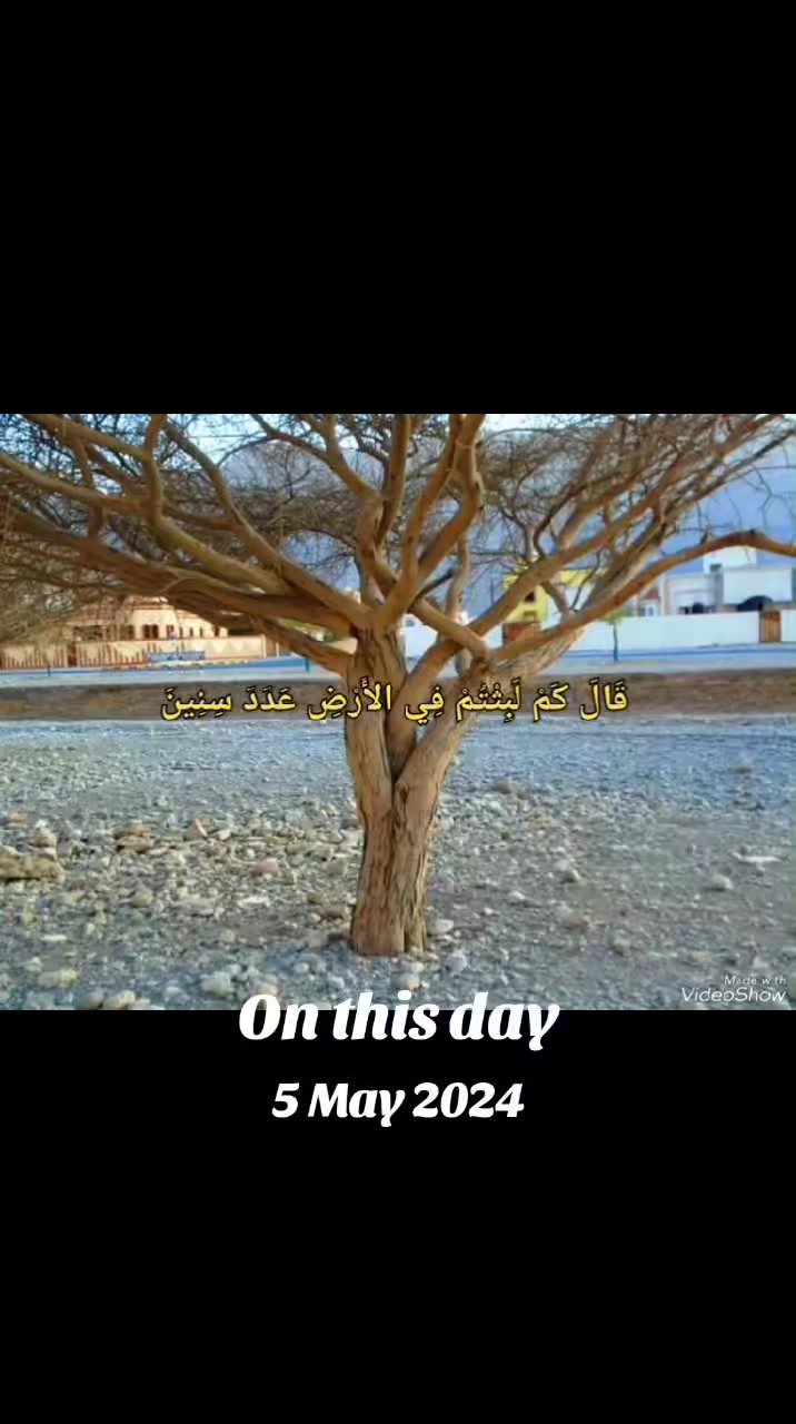 @القارئ الشيخ محمد مصطفى شلاطة