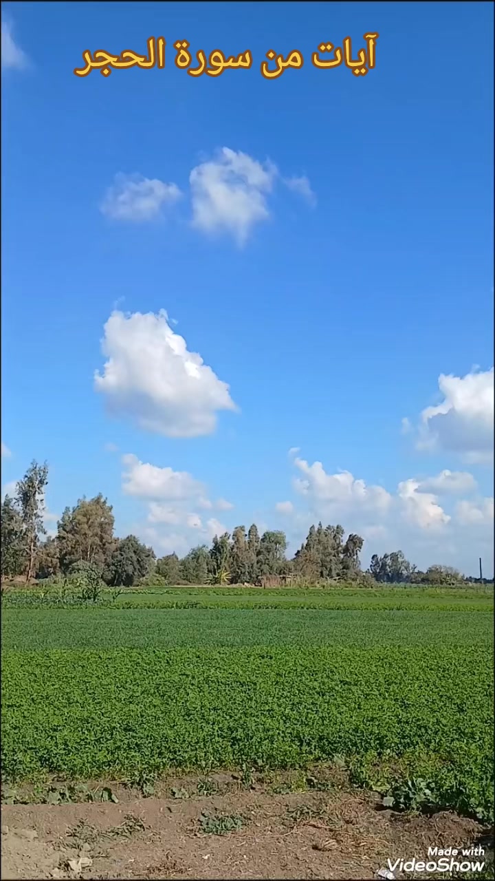 @القارئ الشيخ محمد مصطفى شلاطة