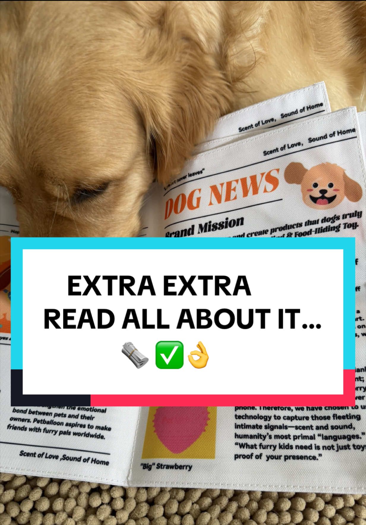 @Talagoldentail