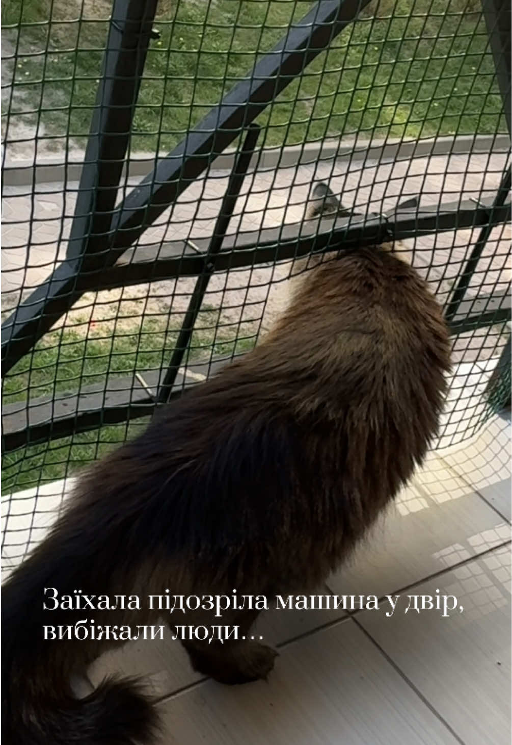 @Семенович