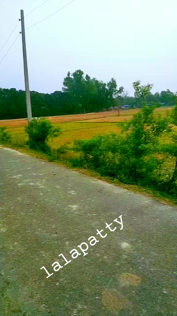 @santosh sharma234