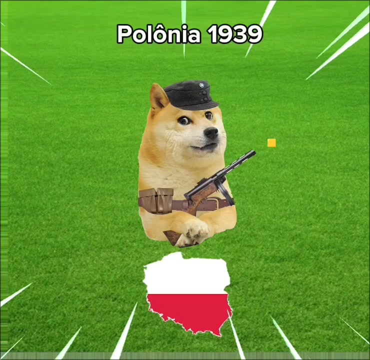 @gnomo cachorro