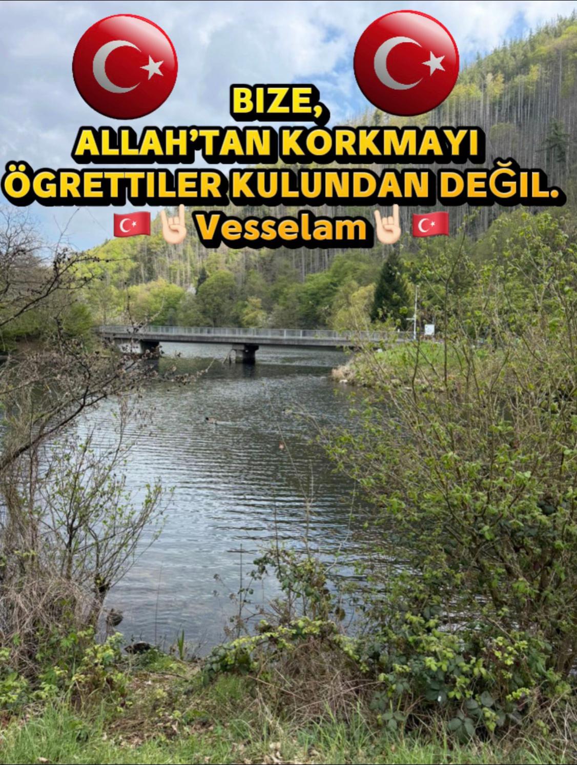 @dilavereryilmaz