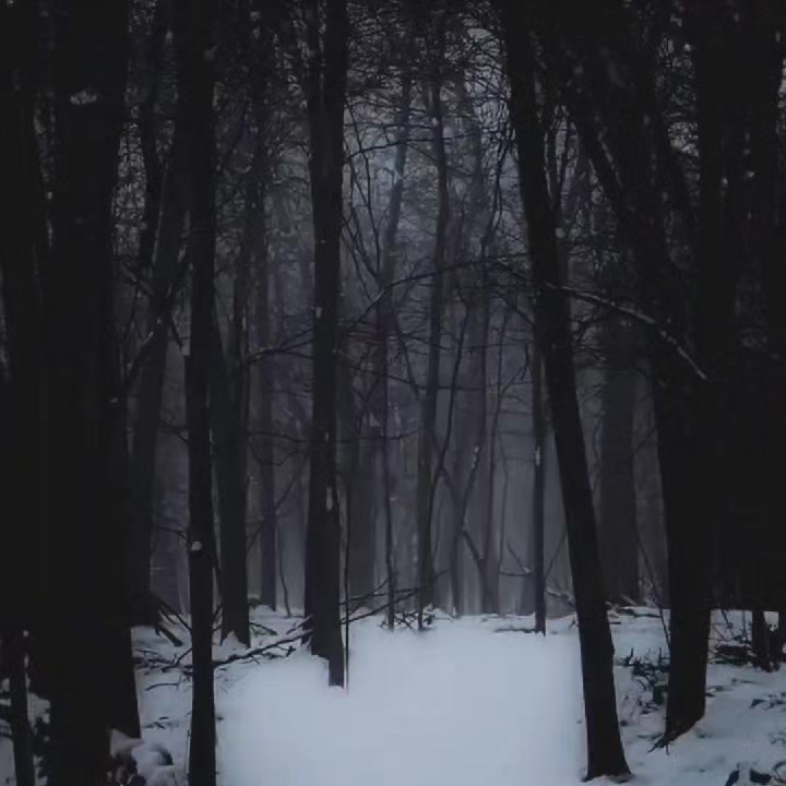 @𝐈𝐬𝐚𝐛𝐞𝐥𝐥𝐚 .⋆♱⃓
