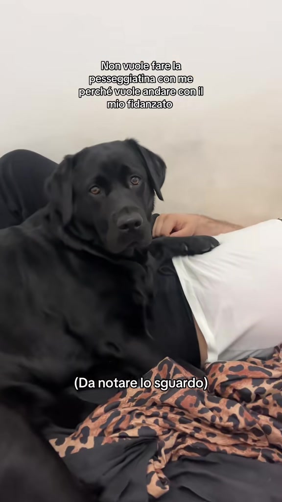 @Cloe e sabry🖤🐾