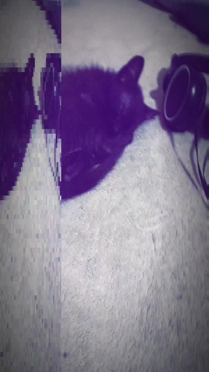 @Дидока🥀💀🫩