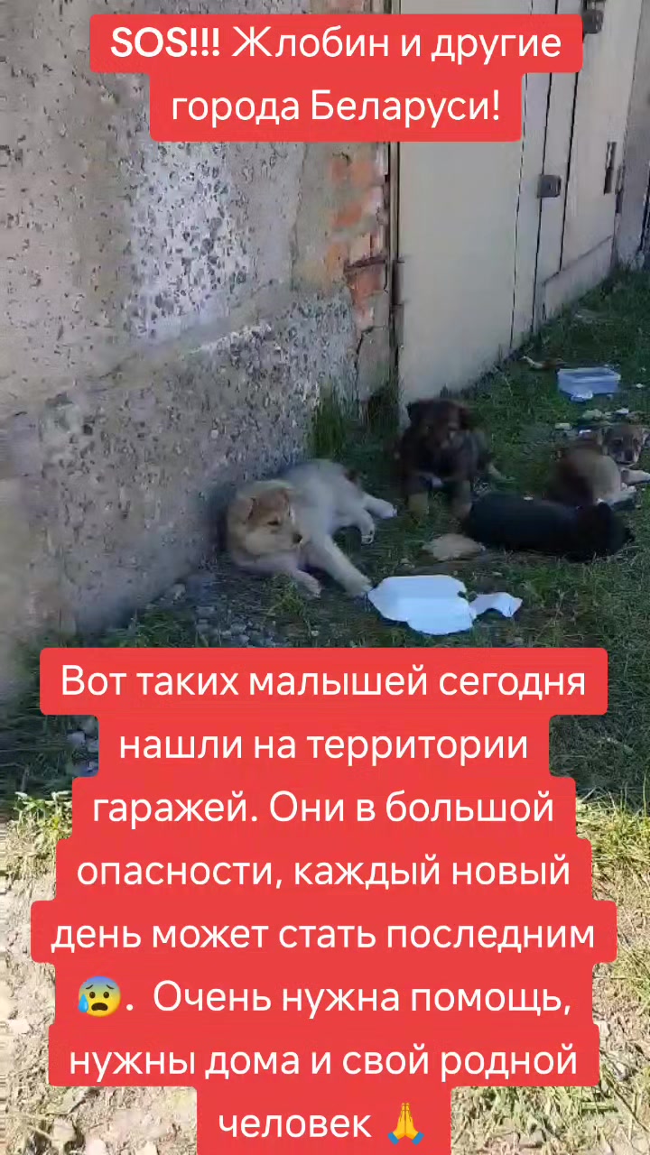@Светлана Козлова