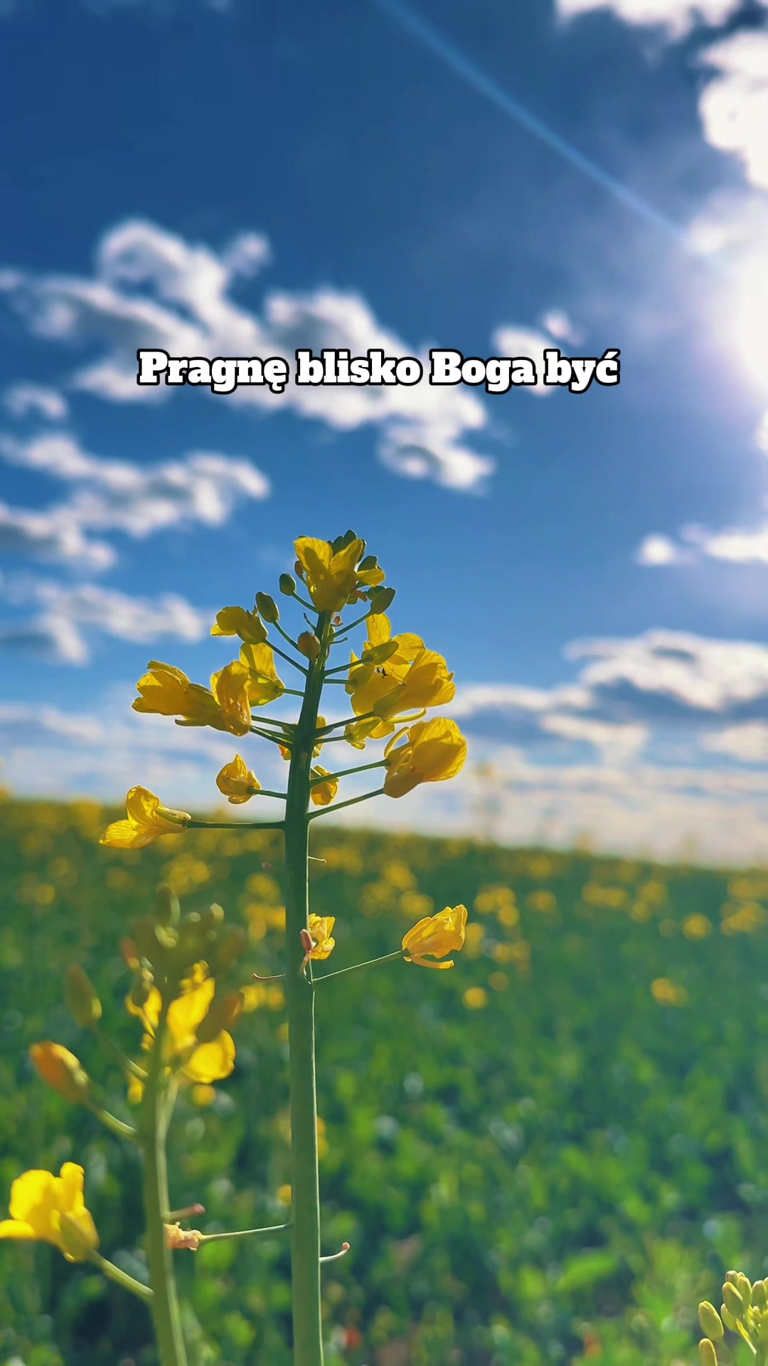 @energia natury