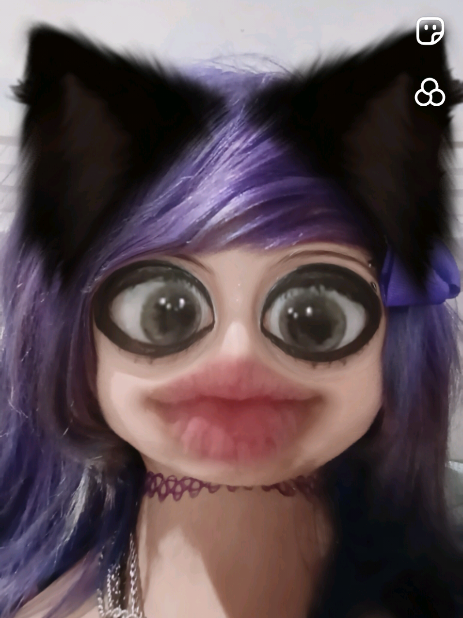 @💜𝕷𝖎𝖛𝖘 𝕽𝖆𝖈𝖈𝖔𝖔𝖓𝖘🦝