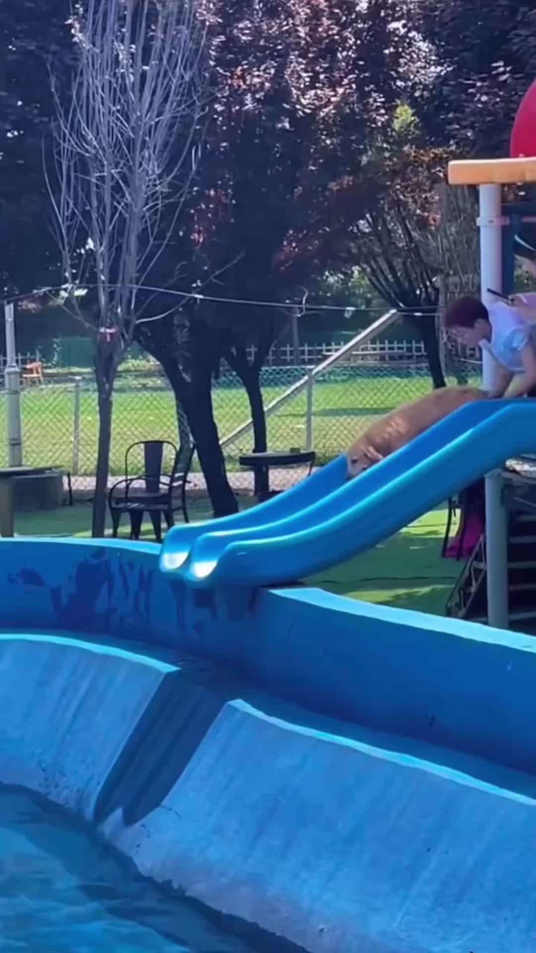 @FunnyAnimals