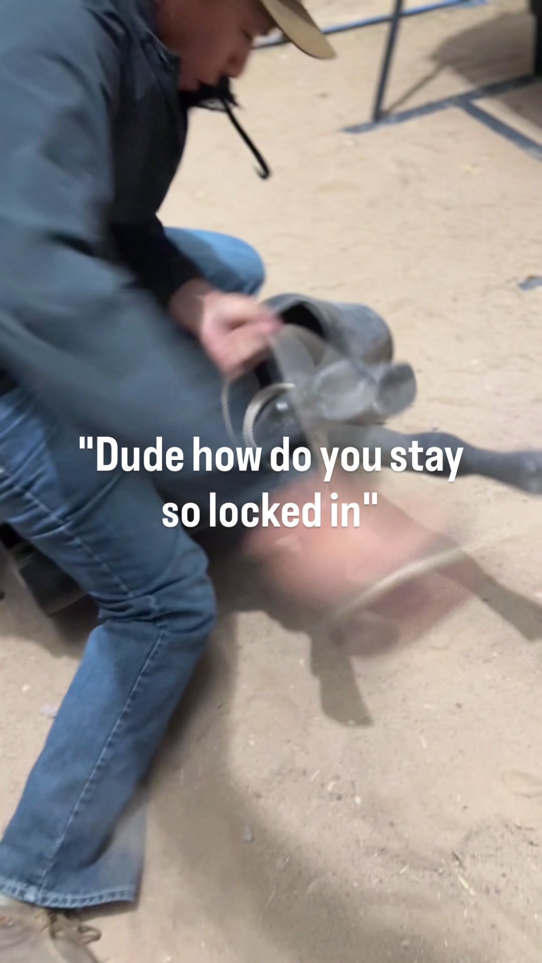 @The Cow Dude