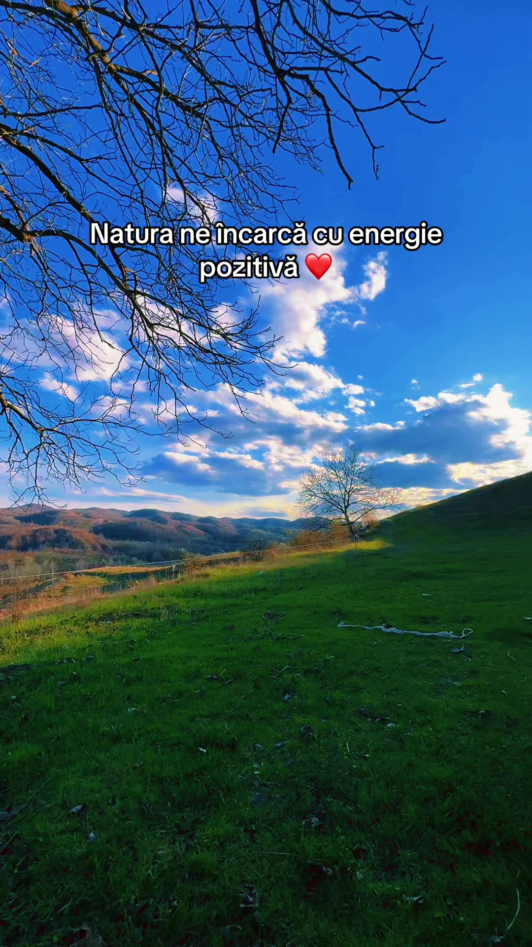@Andreea-Diana