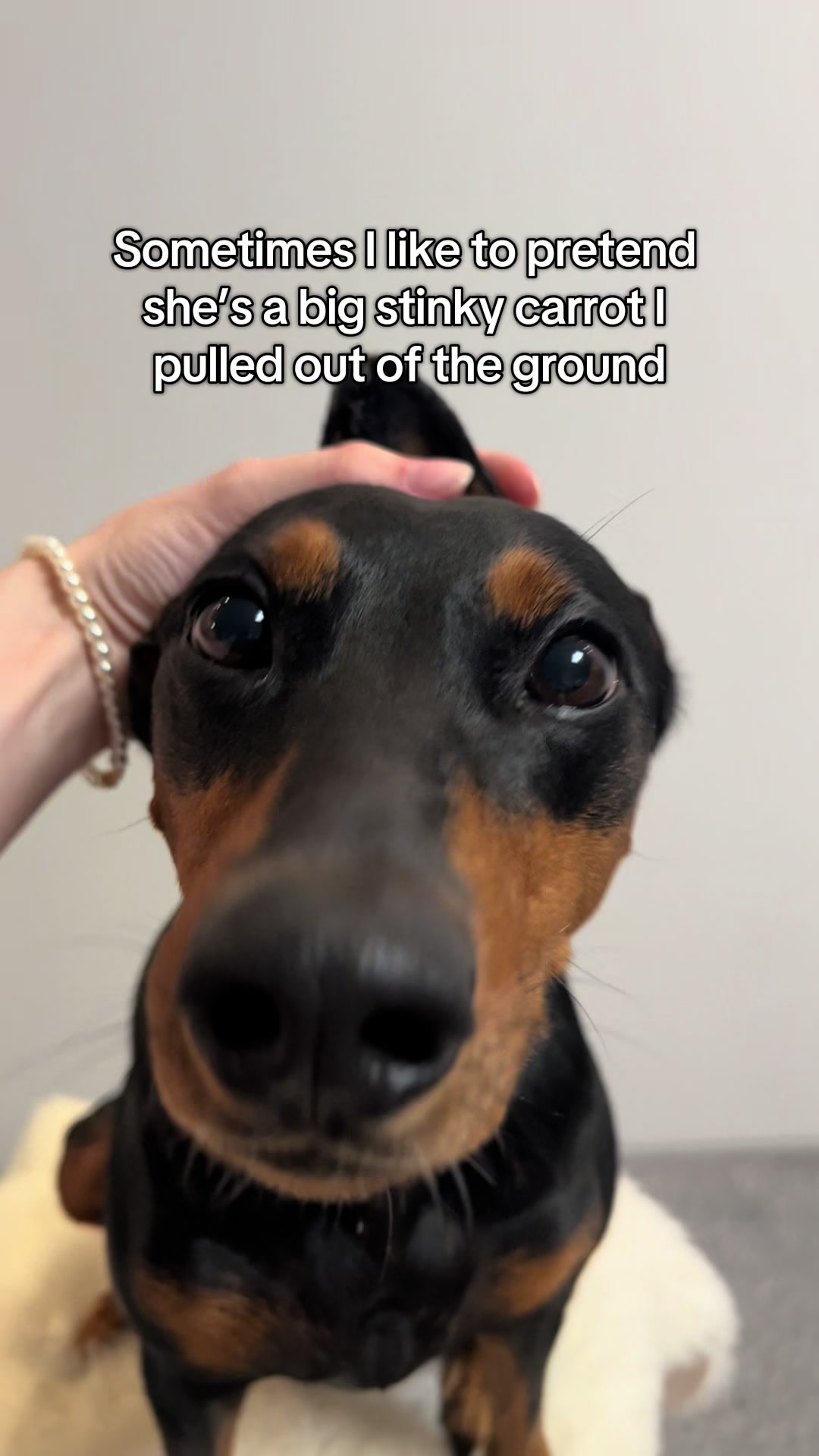 @AlvaTheHotDog