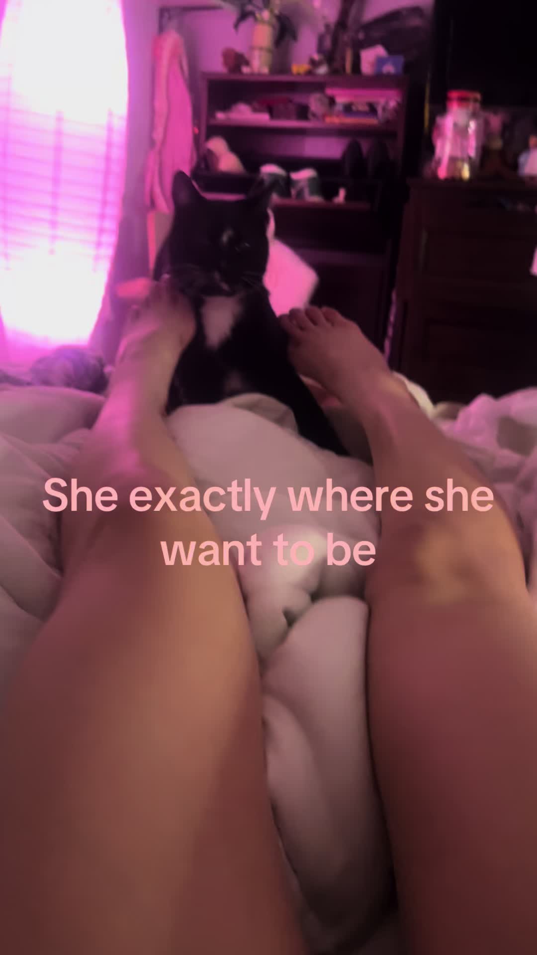 @dreaarune