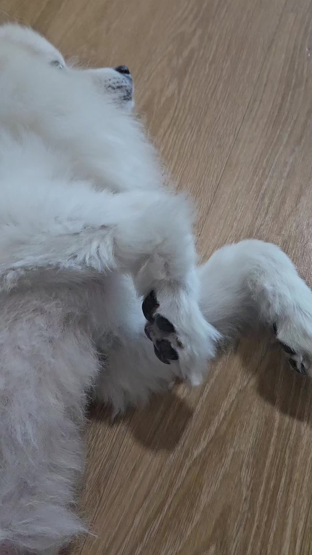 @만두탱이