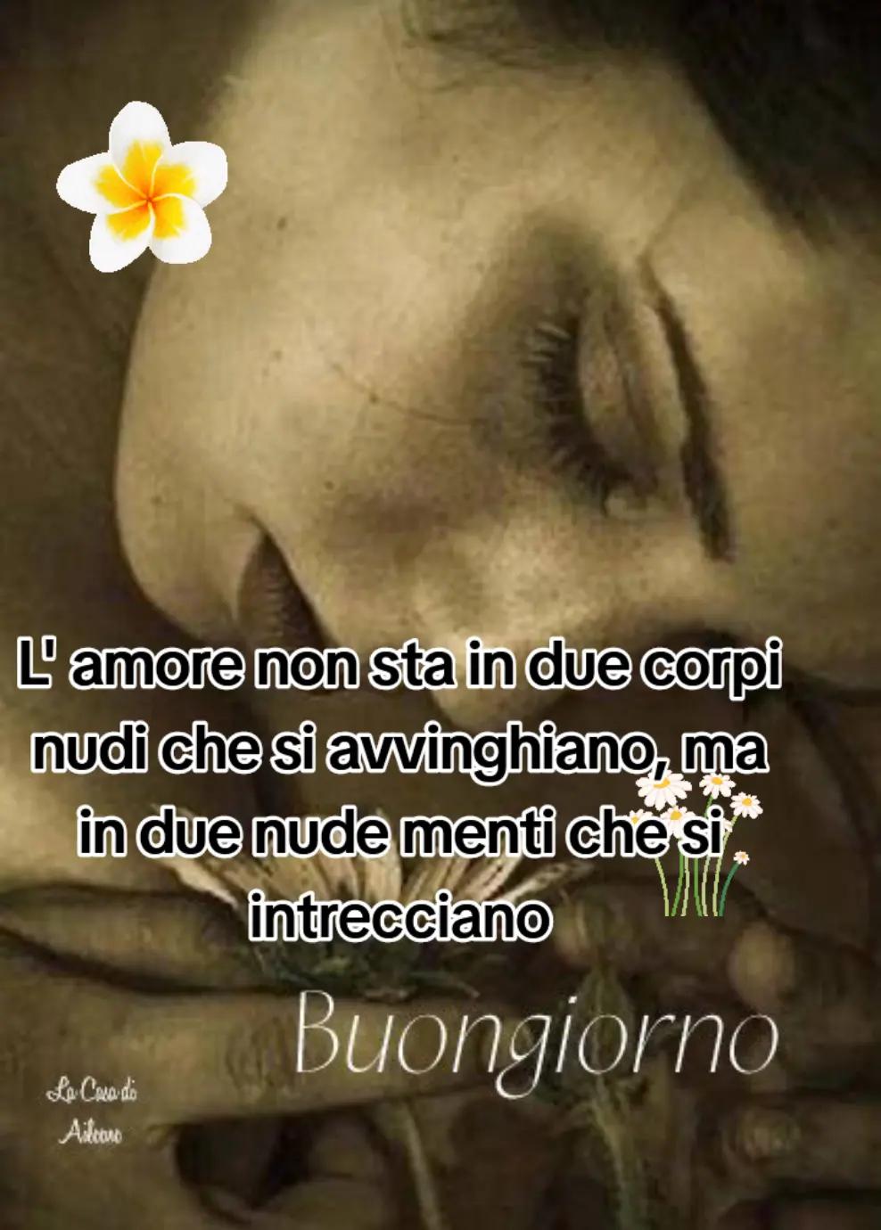 @Enzo Amato
