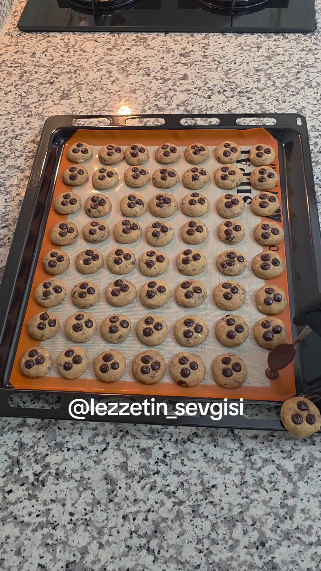@lezzetinsevgisi