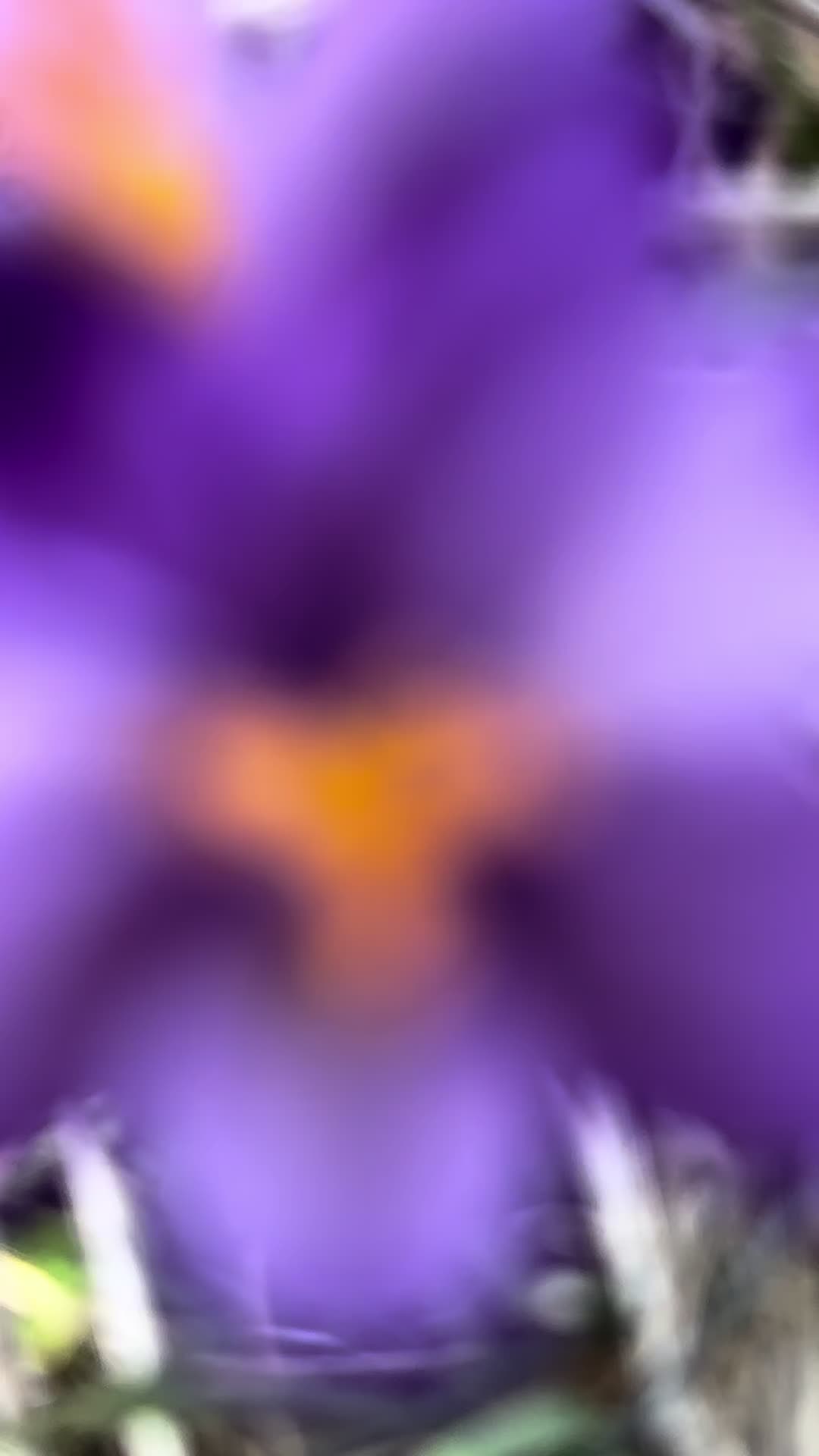 @marcin1009