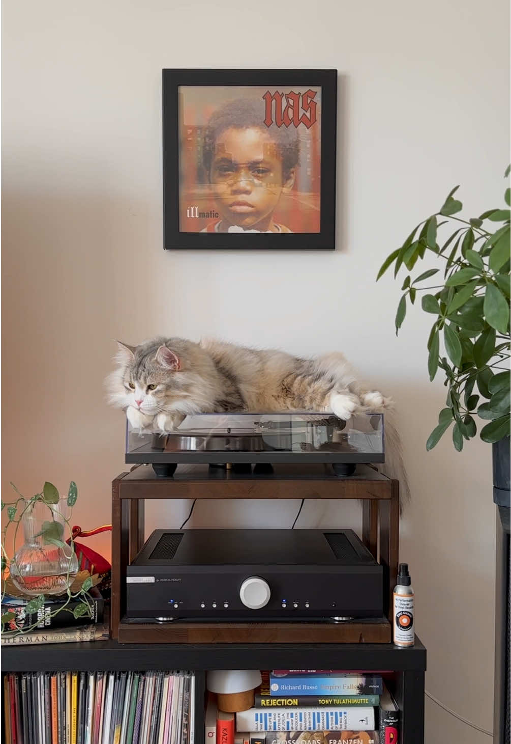 @Leon The Vinyl Cat