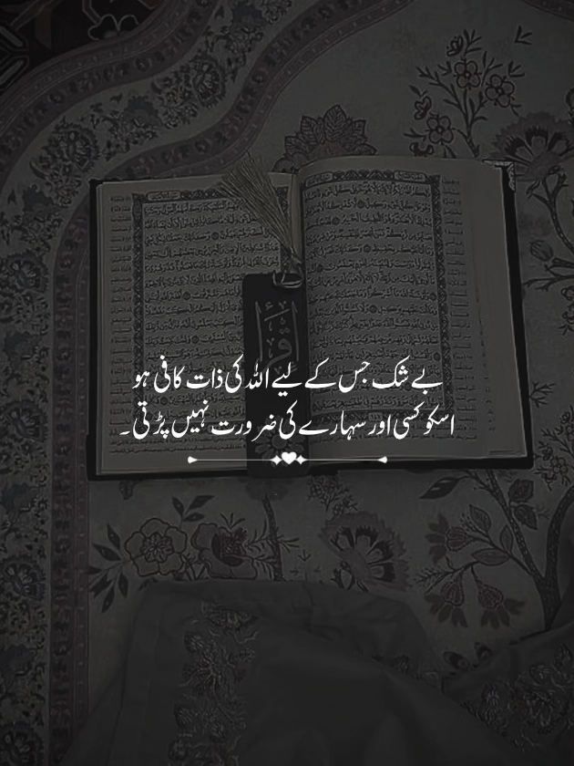 @اقصیٰ 🦋