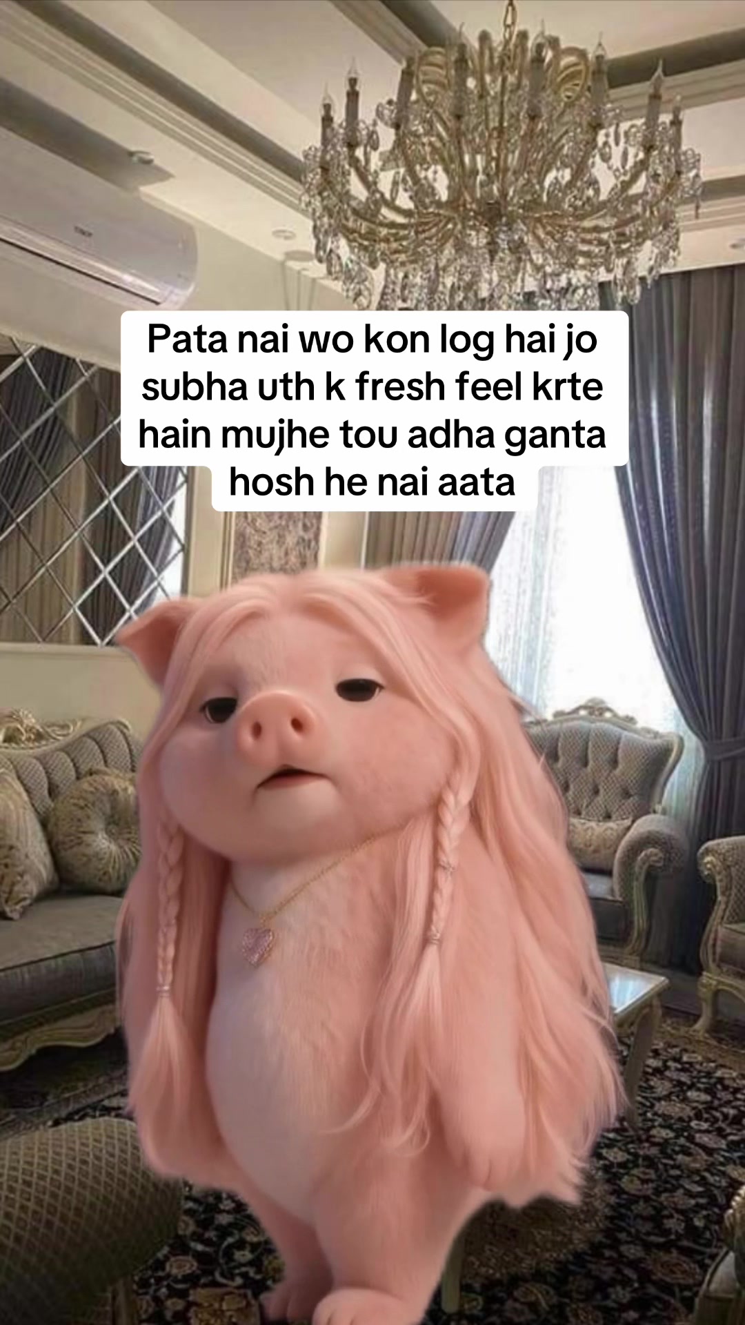 @desi_memes5