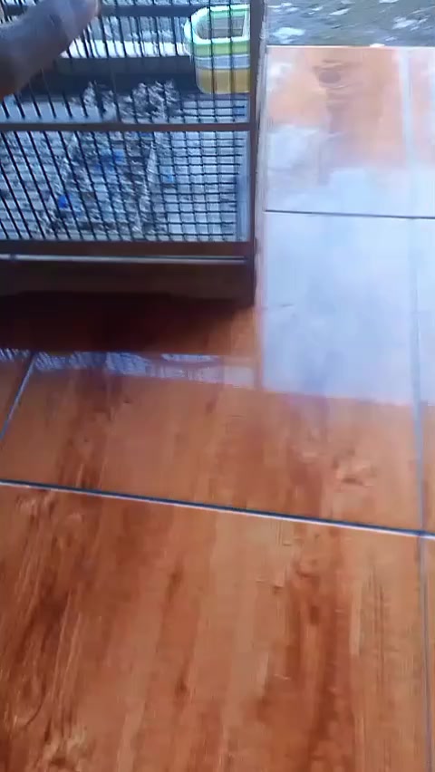 @MR_X