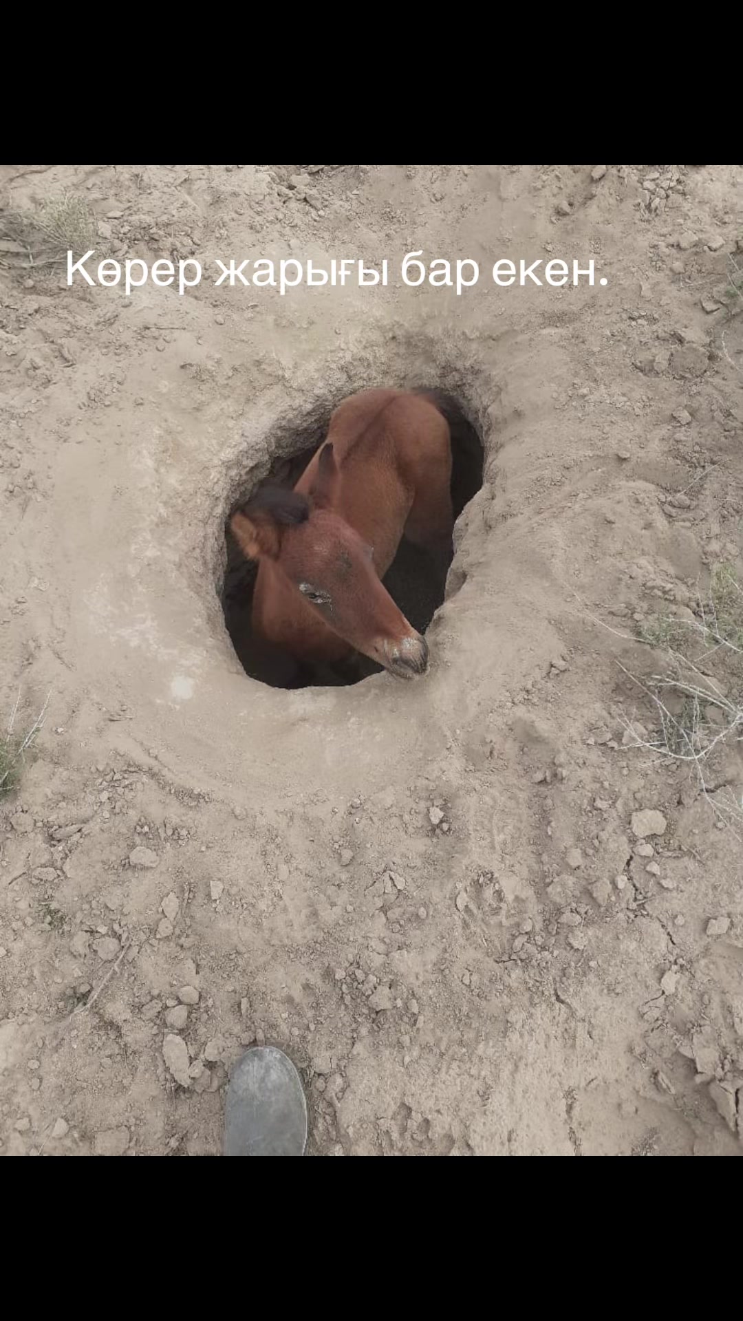 @Наурызбек