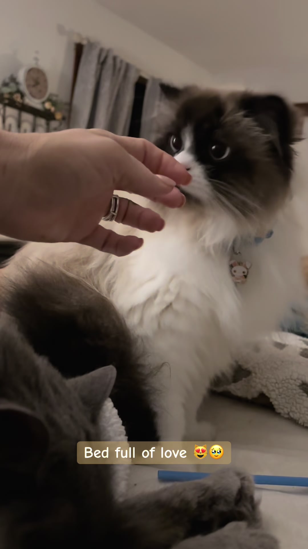 @Melissa&rsquo;s9Lilfluffs