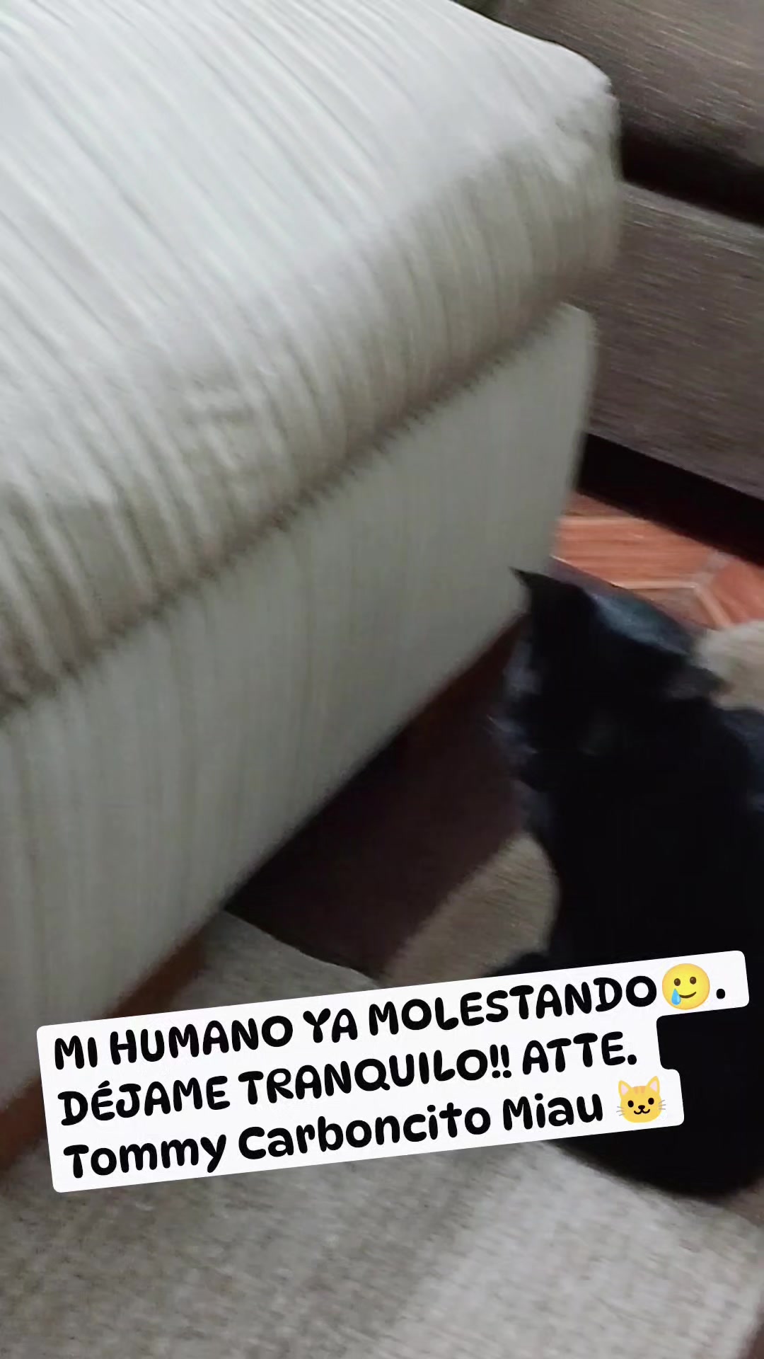 @Eduardo Sandoval