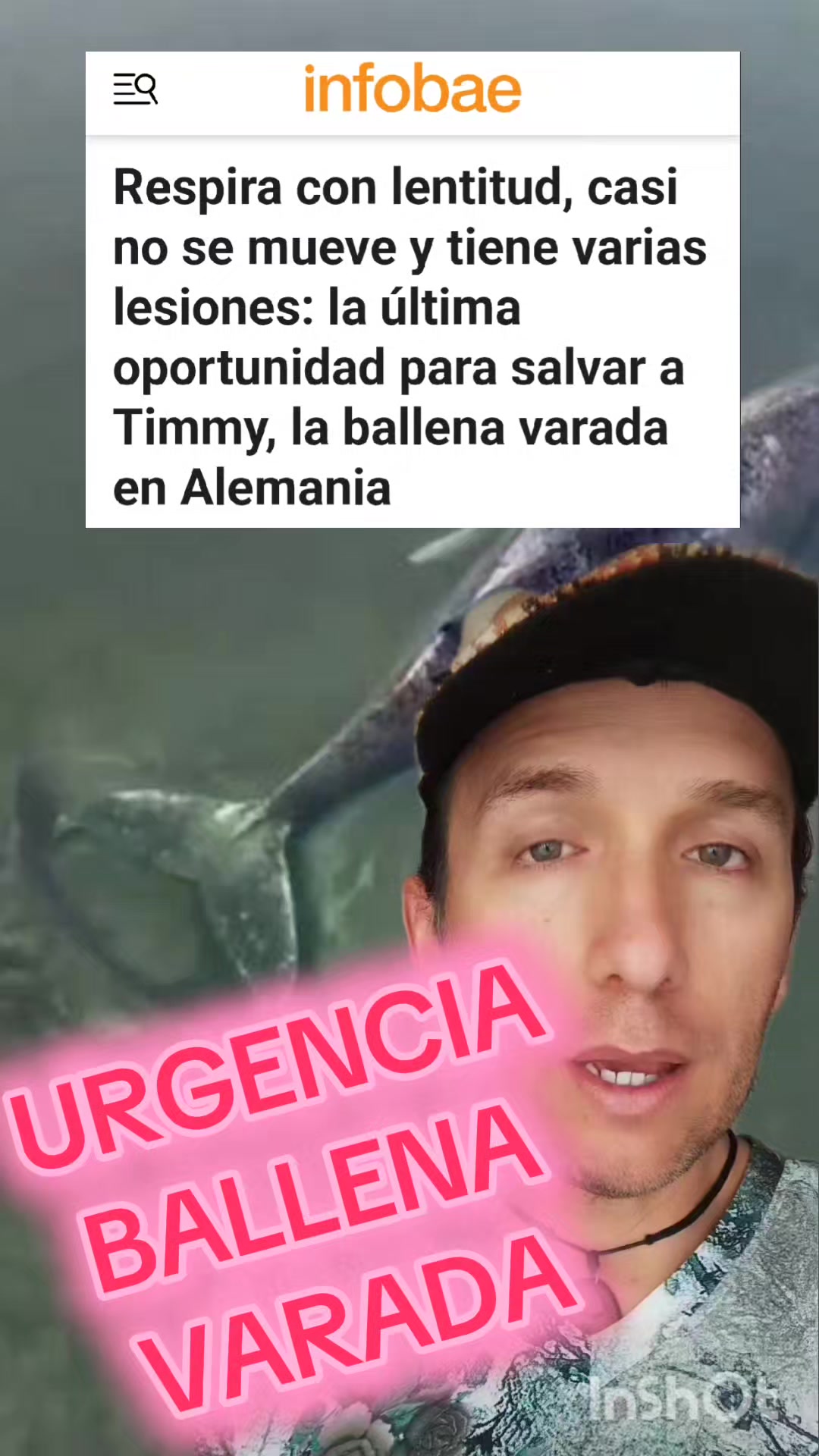@Animal Veritas