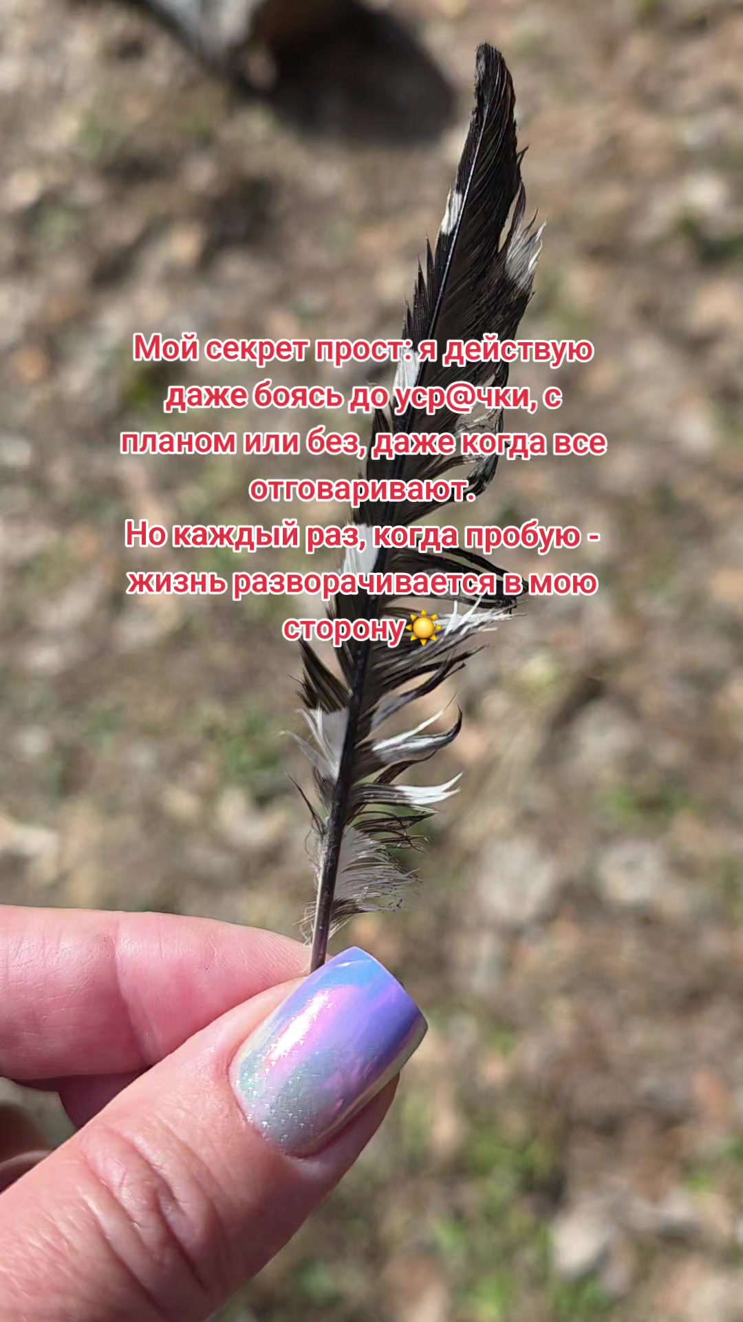 @Яркое Лето
