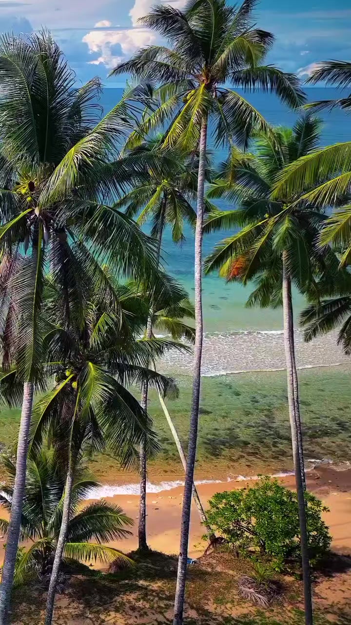 @ＢＡＮＧＳＡ_ＡＣＥＨ